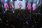 New Year's Eve Celebrations 2015 - 2016