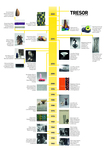 Timeline